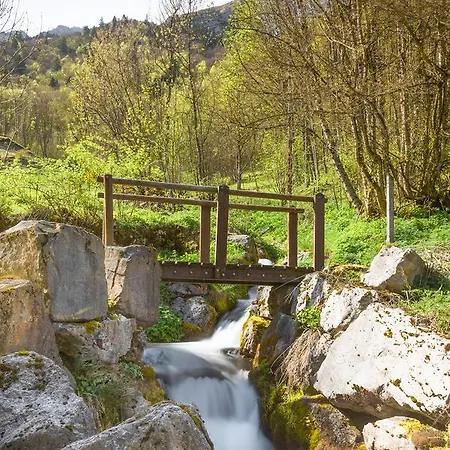 Les Chemins Du Léman